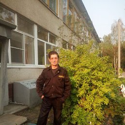 , 53, 