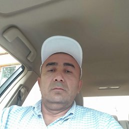 , 53 , 