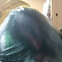 ���� ������ Kiska, ���������, 18 ��� - ��������� 12 ������� 2025 � ������ ���� ����������