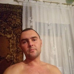 , 37, 