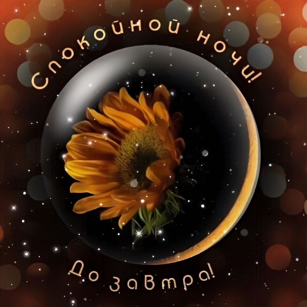 ПРИВЕТСТВИЯ и ПОЖЕЛАНИЯ, открытки на каждый день. - 27 октября 2025 в 18:38