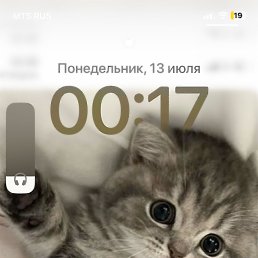 ���� ���, �����, 18 ��� - ��������� 13 ���� 2026