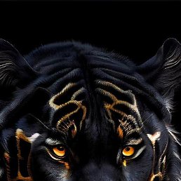 �����, �����, 35 ���