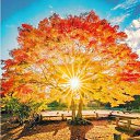 ���� ����, �����-��������� - ��������� 28 ������� 2026