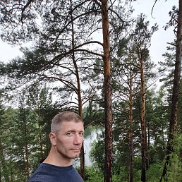 , 46, 