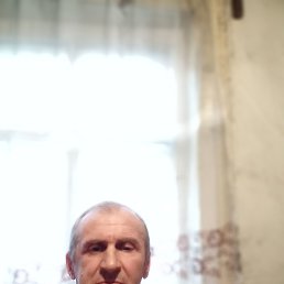 , 53 , 
