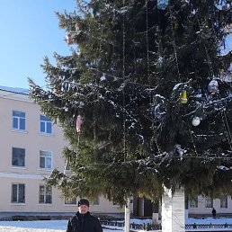 ��������, 65 ���, ������