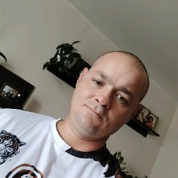 �������, 38 ���, ���������