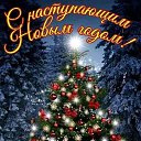 ���� ����, ��������� - ��������� 14 ������� 2025 � ������ ������ ��������