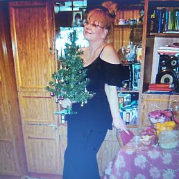 �iledi, ��������