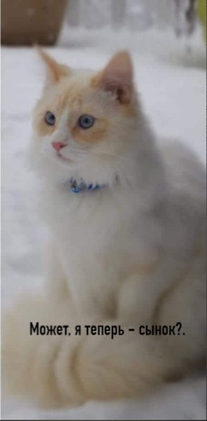       - 7  2025  16:55 - 3