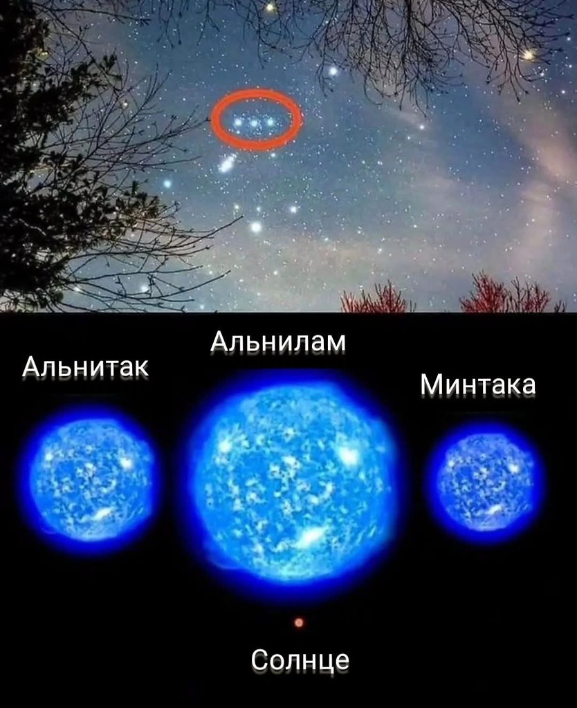 Пояс Ориона: сколько световых лет до этих звёзд? Три яркие звезды Пояса Ориона кажутся почти на ...