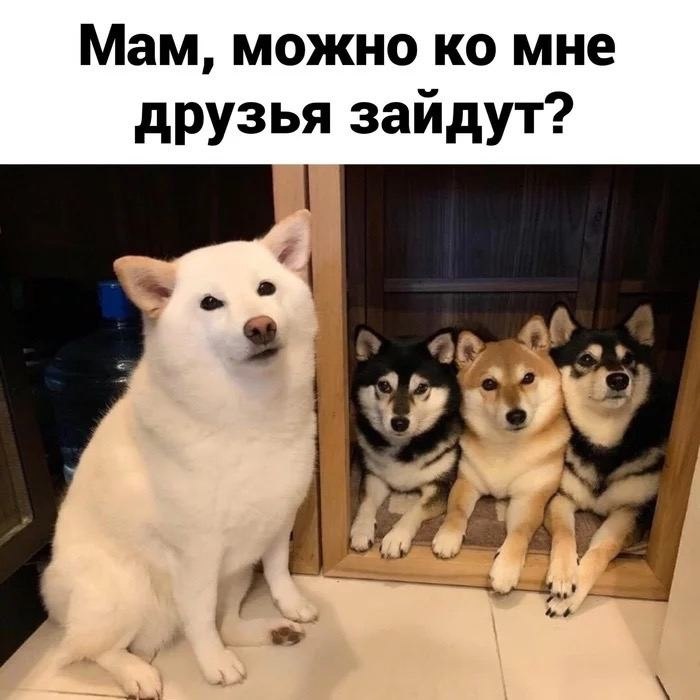    - 14  2024  04:43