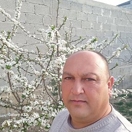 , 45, 
