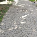 ���� �����, �����������, 44 ���� - ��������� 18 �������� 2024