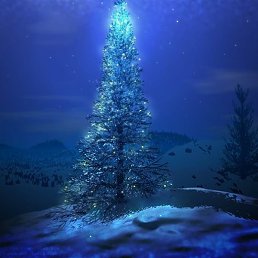 �������, �����������, 48 ���