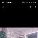 ���� �����, �����������, 46 ��� - ��������� 31 ���� 2026 � ������ ���� ����������