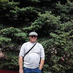 , 53, 