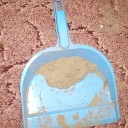 ���� ����, ������, 19 ��� - ��������� 1 ������� 2024