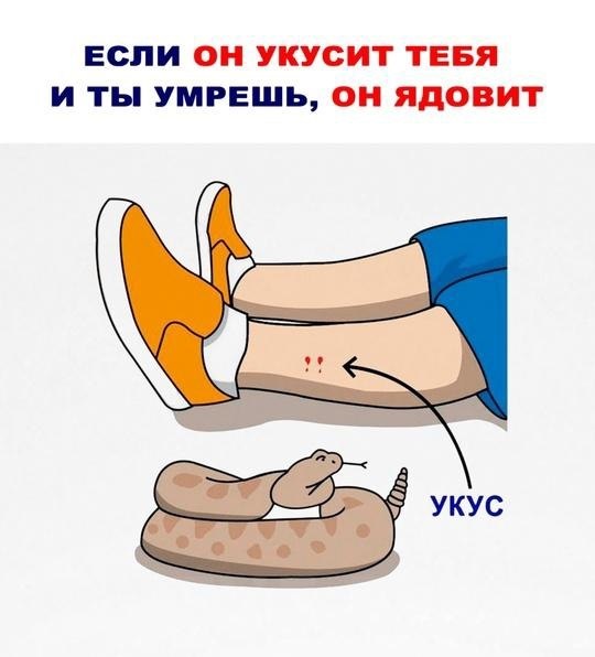 yae yyc. Ka  oocec  o ee?