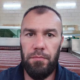 ����, ���, 41 ���