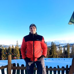 , 41, 