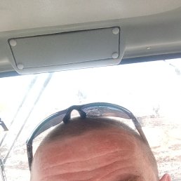 , 44, 