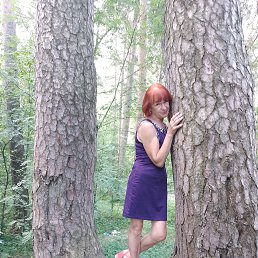 , 58, 