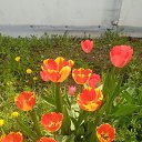 ���� ������, ���������, 57 ��� - ��������� 16 ������ 2025 � ������ ���� ����������