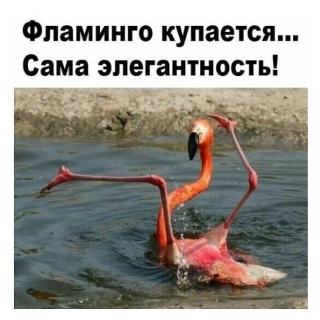 ��� ���� - 12 ����� 2026 � 12:54