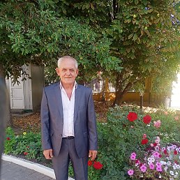 , 65 , 