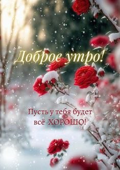   - 26  2024  08:18