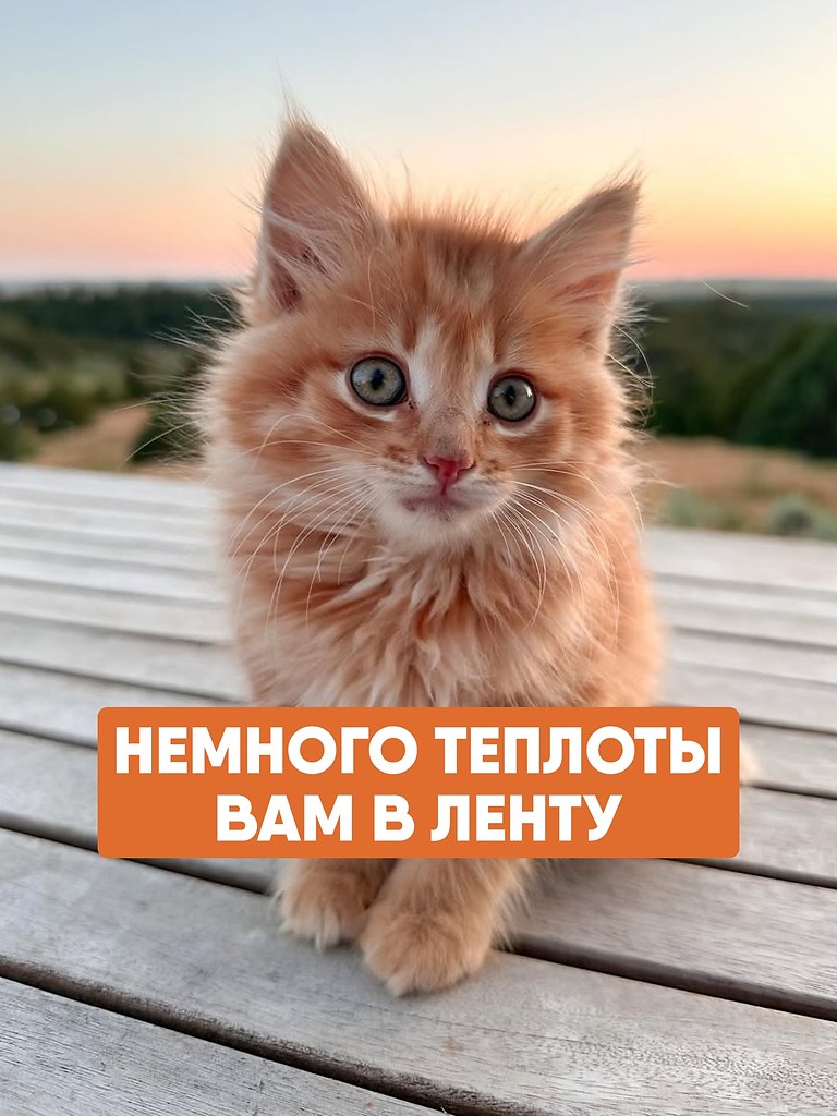  .   ,   ,     ...