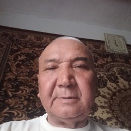 , 66, 