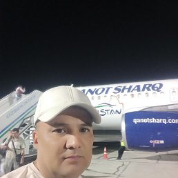 , 37, 