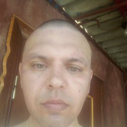 , 41, 