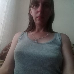 , 29, 