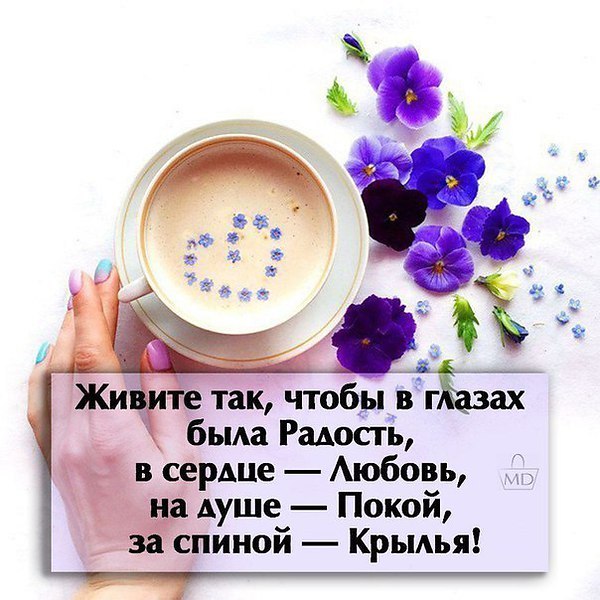   - 12  2025  22:13 - 3