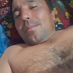 , 37, 