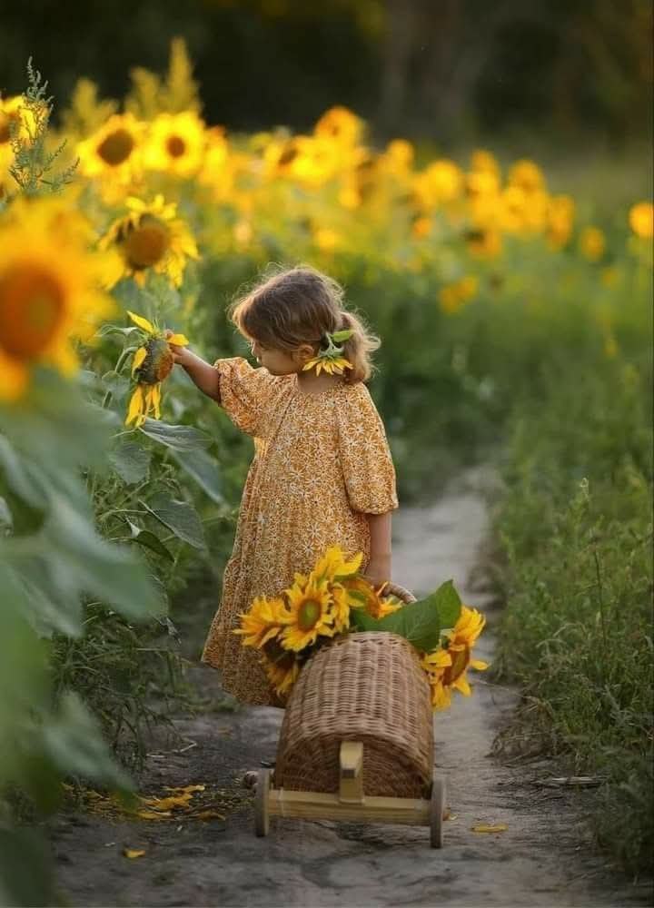 :)   Ȼ:  Ĩ    18 !   ,     ...
