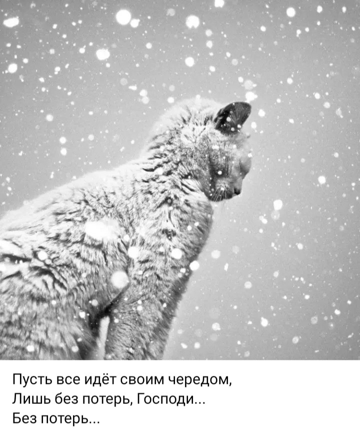 ***Victoria Viktorovna*** - 19  2024  05:26