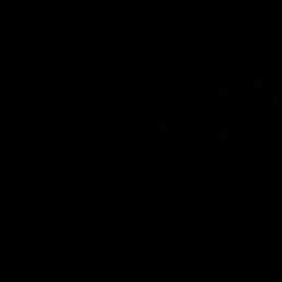 �����, ������, 40 ���