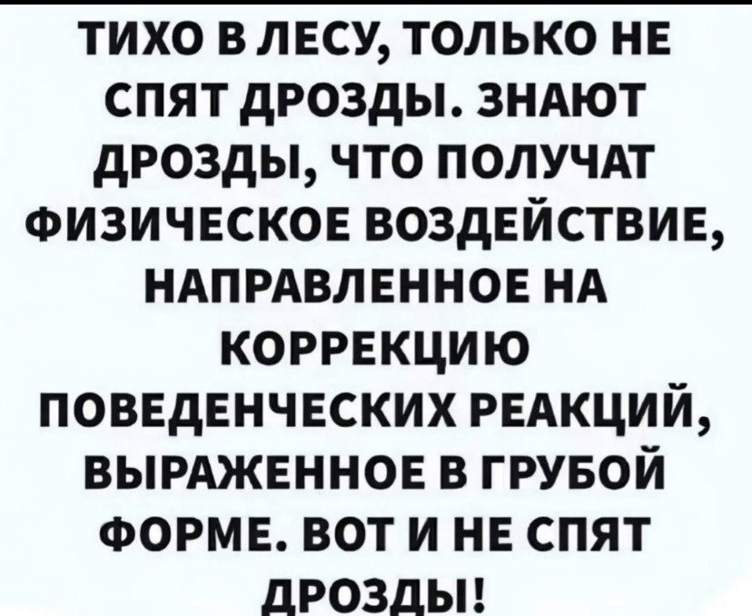   - 6  2025  18:41