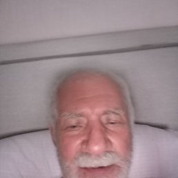 ���� ���������, ������, 84 ���� - ��������� 20 ���� 2026