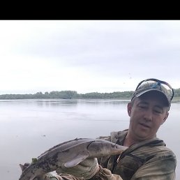 , 45, 