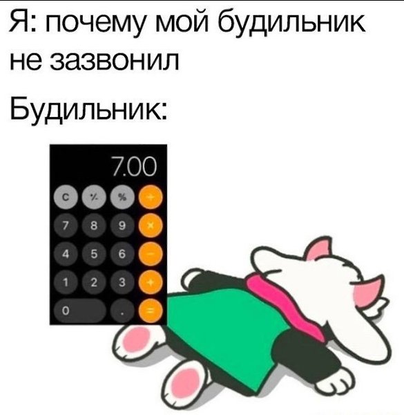  - 8  2024  23:48