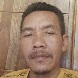 Muharimuhari, ��������, 41 ���