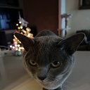 ���� ���������, ������, 65 ��� - ��������� 23 ������ 2025 � ������ ���� ����������