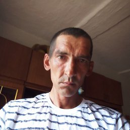 , , 41 