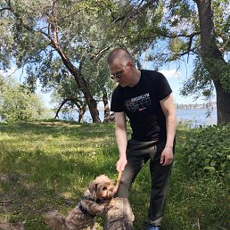 �����, 45 ���, �������